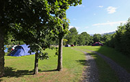 IMG_3398