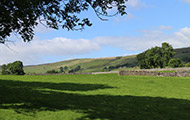 IMG_3428