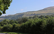 IMG_3439