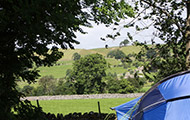 IMG_3450